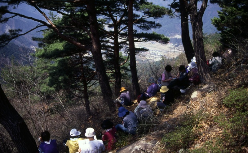 高川山
